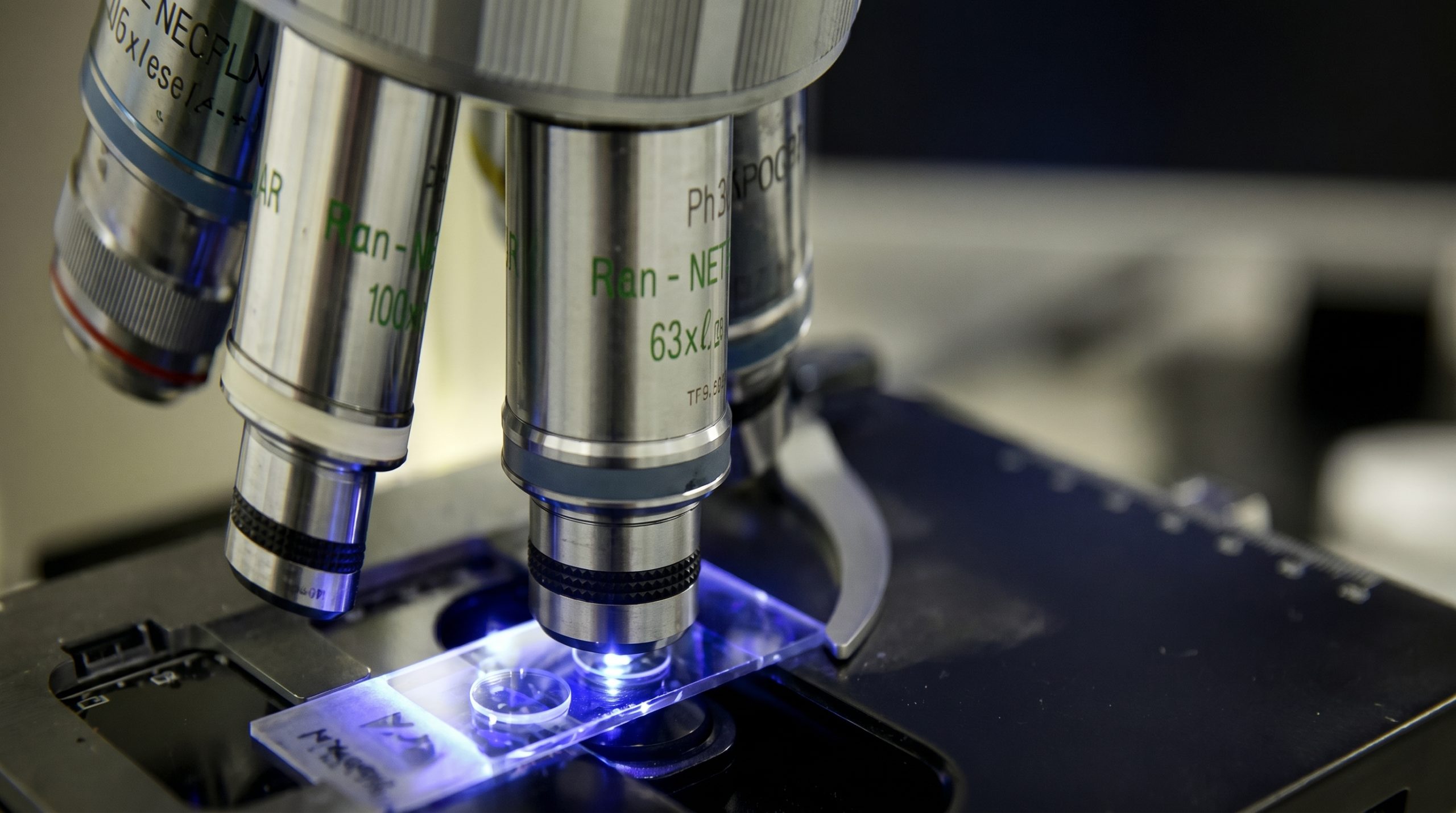 Replica test, in-situ replica, metallography, microstructure, thermal damage, creep damage, refinery, shutdown, inspection, asset integrity, portable microscope, microstructural analysis